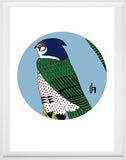 Falcon
